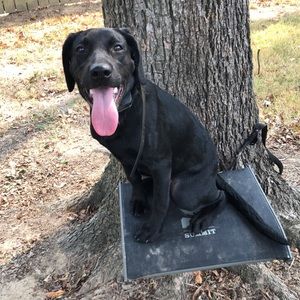 Meet your Posher, Cody